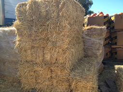 Wheat Straw Bales - Regular Size